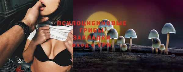 гашик Горнозаводск