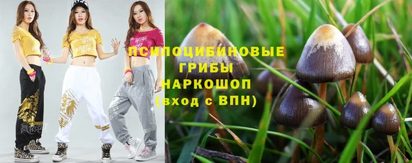 jwh Горняк