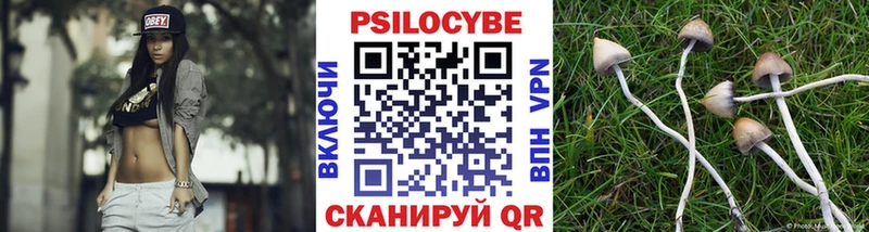 Купить закладки  Пласт  Псилоцибиновые грибы прущие грибы 