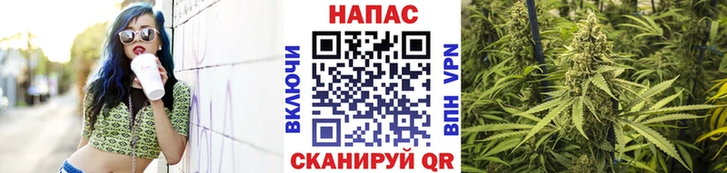 Канабис гибрид Купить Пласт